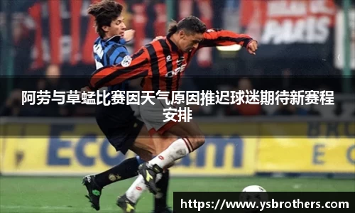 阿劳与草蜢比赛因天气原因推迟球迷期待新赛程安排